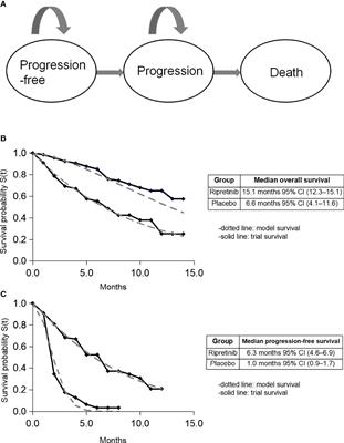 Cost-Effectiveness Analysis of Fourth- or Further-Line Ripretinib in Advanced Gastrointestinal Stromal Tumors